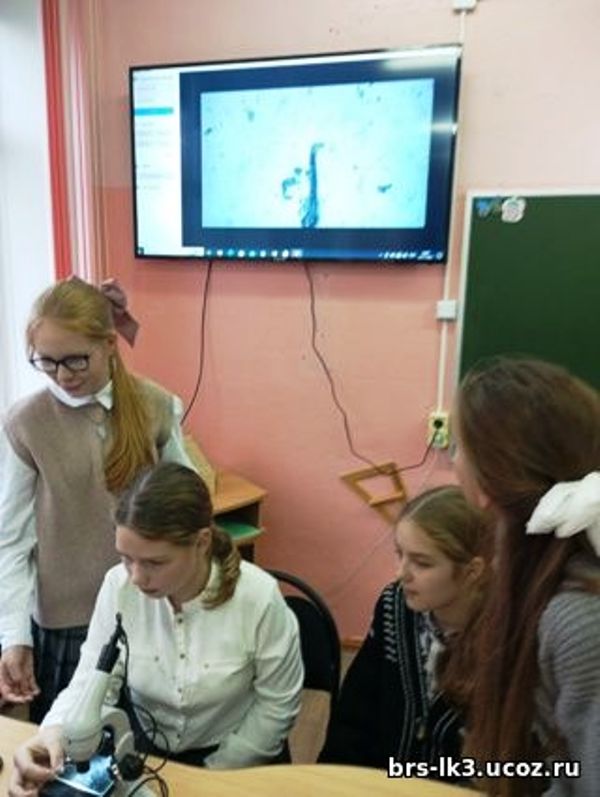 &amp;quot;Мир под микроскопом&amp;quot;.